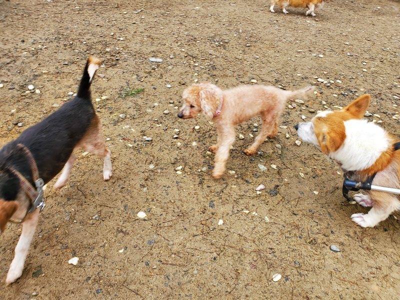 f:id:roukenhome-ann:20191020132524j:plain