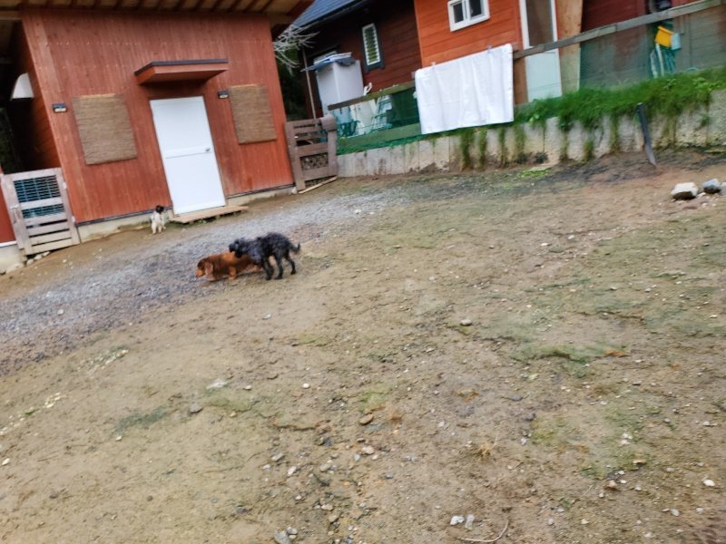 f:id:roukenhome-ann:20191020132603j:plain