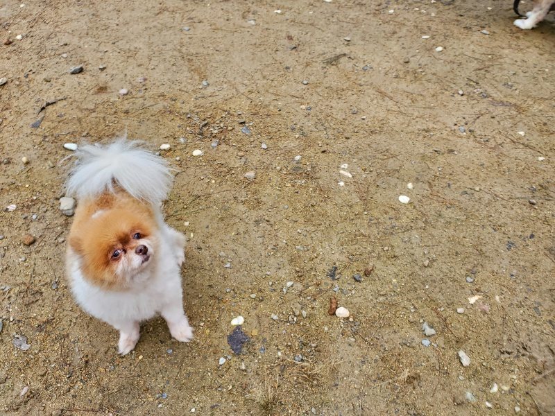 f:id:roukenhome-ann:20191020132611j:plain