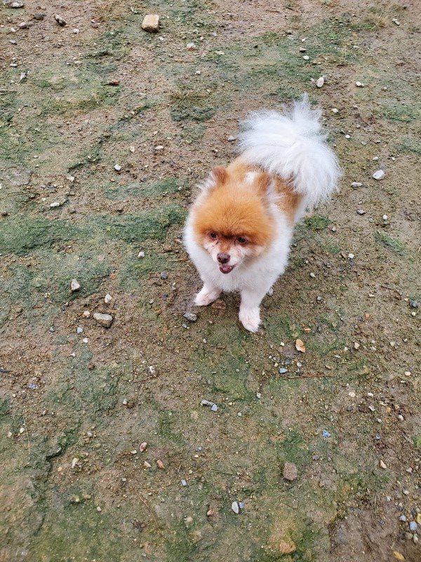 f:id:roukenhome-ann:20191020132724j:plain