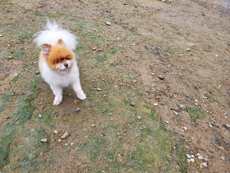 f:id:roukenhome-ann:20191020132758j:plain