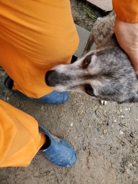 f:id:roukenhome-ann:20191020133227j:plain