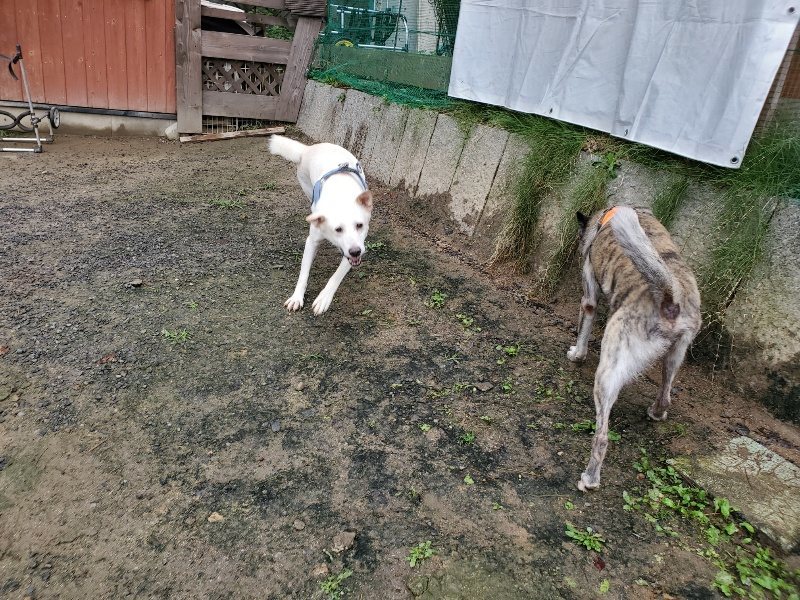 f:id:roukenhome-ann:20191020133327j:plain