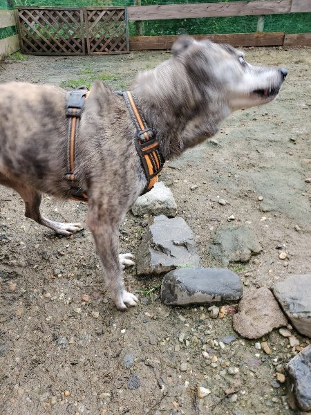 f:id:roukenhome-ann:20191020133343j:plain