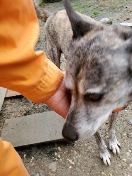f:id:roukenhome-ann:20191020133355j:plain