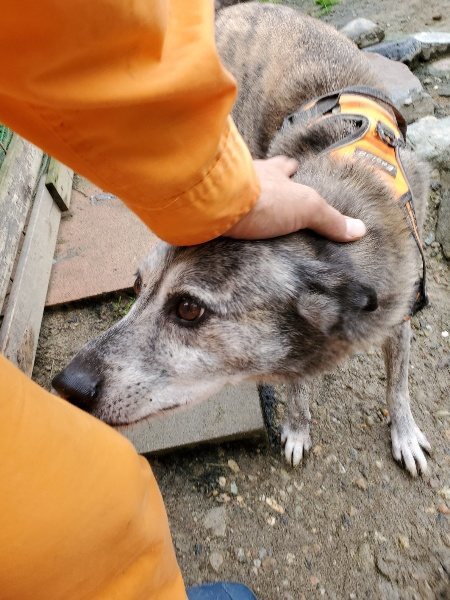 f:id:roukenhome-ann:20191020133401j:plain