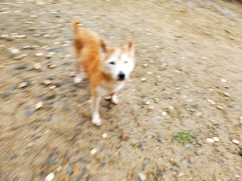 f:id:roukenhome-ann:20191020133539j:plain