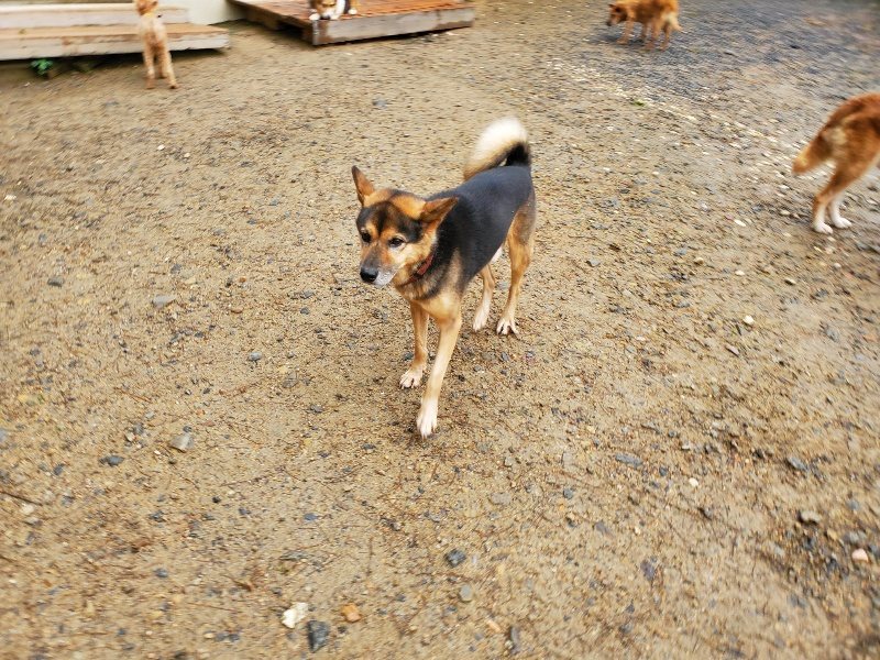 f:id:roukenhome-ann:20191020133556j:plain
