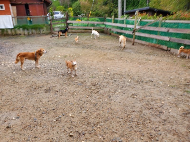 f:id:roukenhome-ann:20191020133624j:plain
