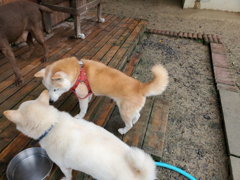 f:id:roukenhome-ann:20191020133653j:plain