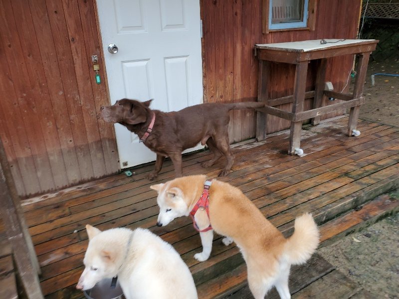 f:id:roukenhome-ann:20191020133725j:plain