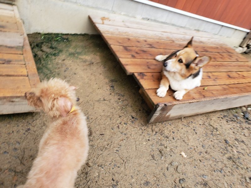 f:id:roukenhome-ann:20191020133814j:plain