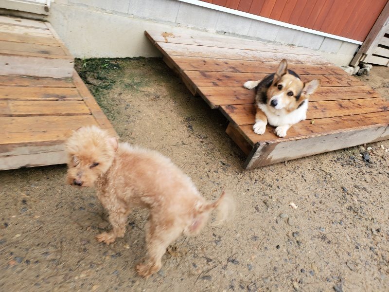 f:id:roukenhome-ann:20191020133827j:plain