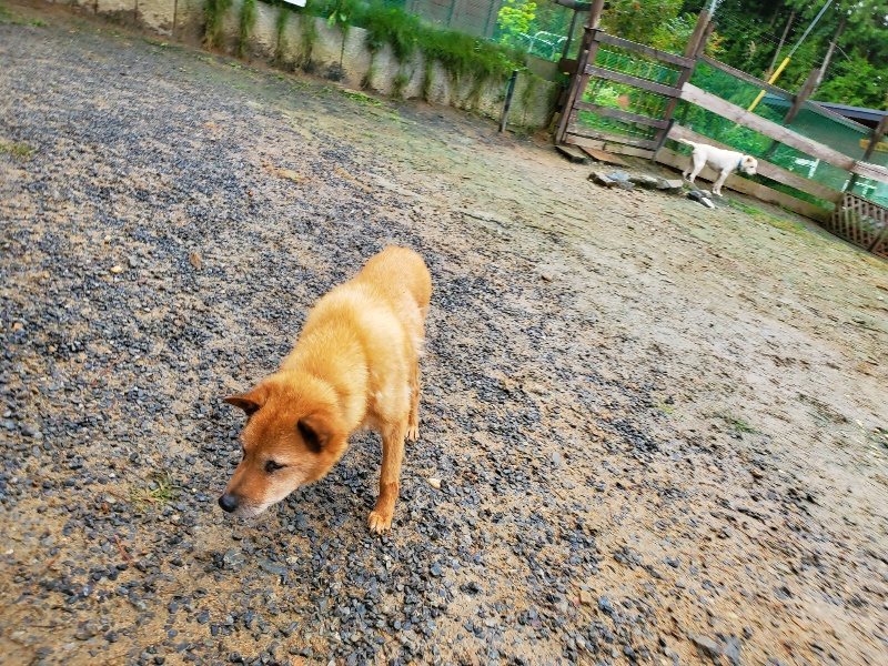 f:id:roukenhome-ann:20191020133841j:plain
