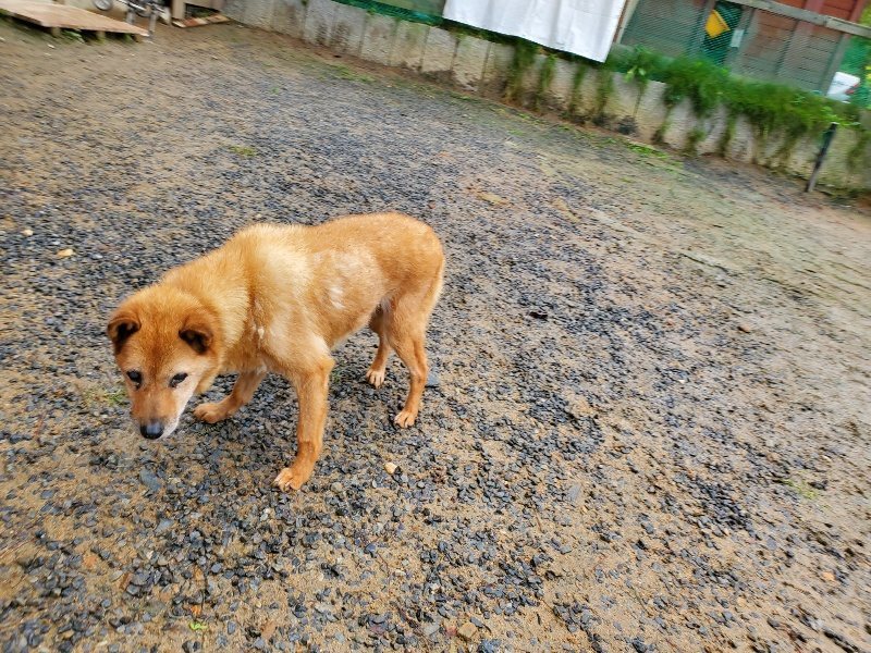 f:id:roukenhome-ann:20191020133854j:plain