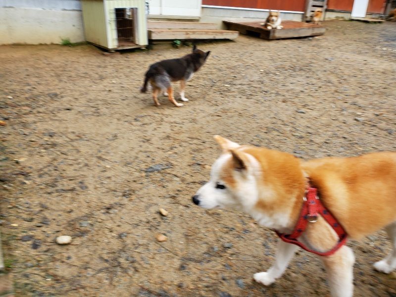 f:id:roukenhome-ann:20191020134112j:plain