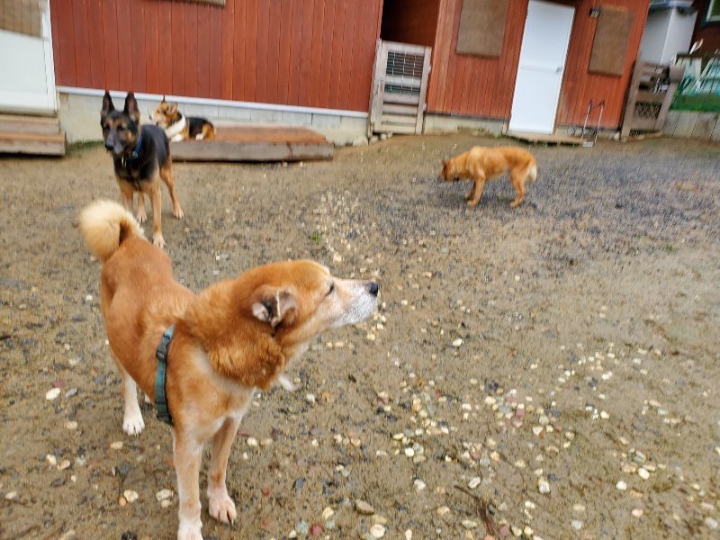 f:id:roukenhome-ann:20191020134136j:plain