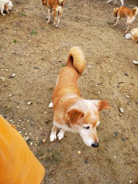 f:id:roukenhome-ann:20191020134238j:plain