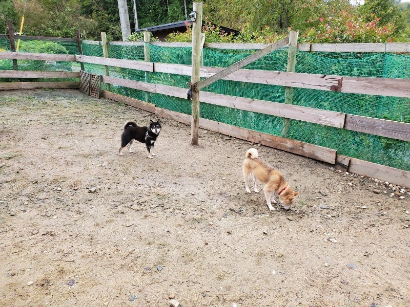 f:id:roukenhome-ann:20191020134246j:plain