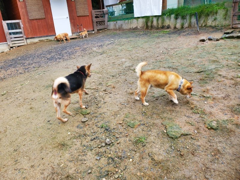 f:id:roukenhome-ann:20191020134302j:plain