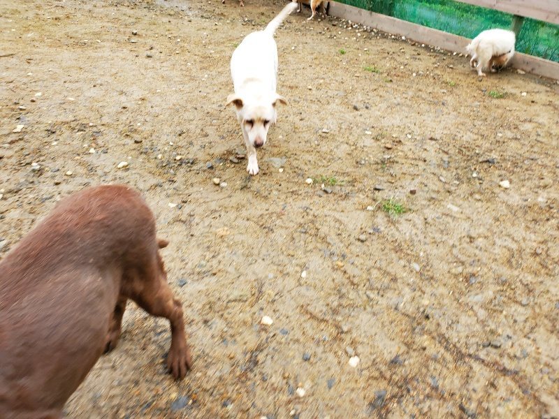 f:id:roukenhome-ann:20191020134426j:plain