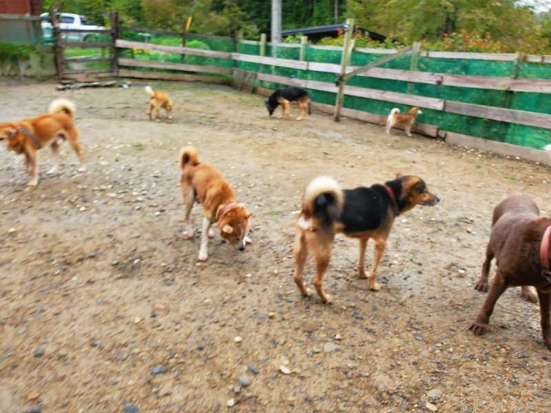 f:id:roukenhome-ann:20191020134543j:plain