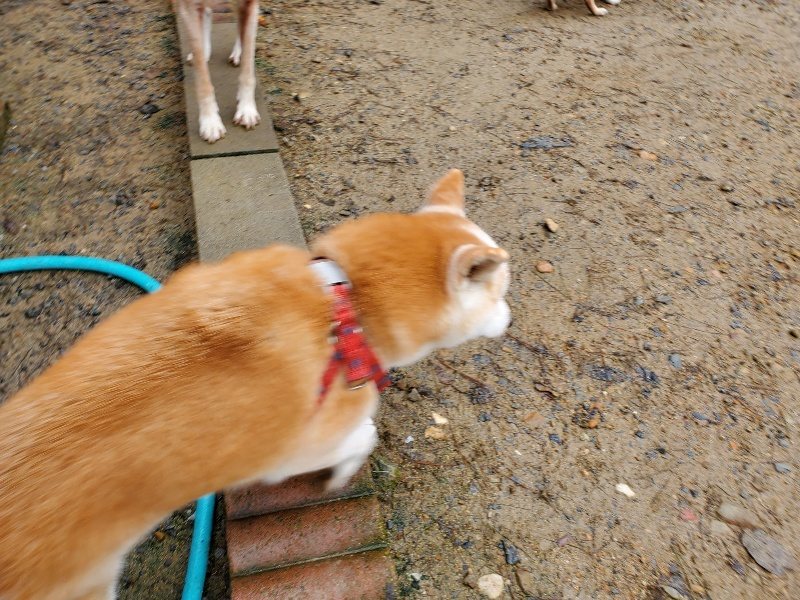 f:id:roukenhome-ann:20191020134759j:plain