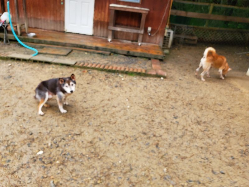 f:id:roukenhome-ann:20191020134835j:plain