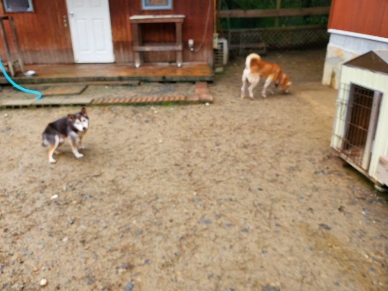 f:id:roukenhome-ann:20191020134854j:plain