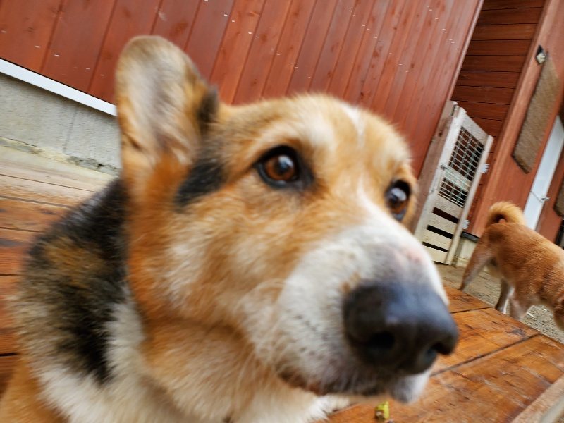 f:id:roukenhome-ann:20191020134900j:plain