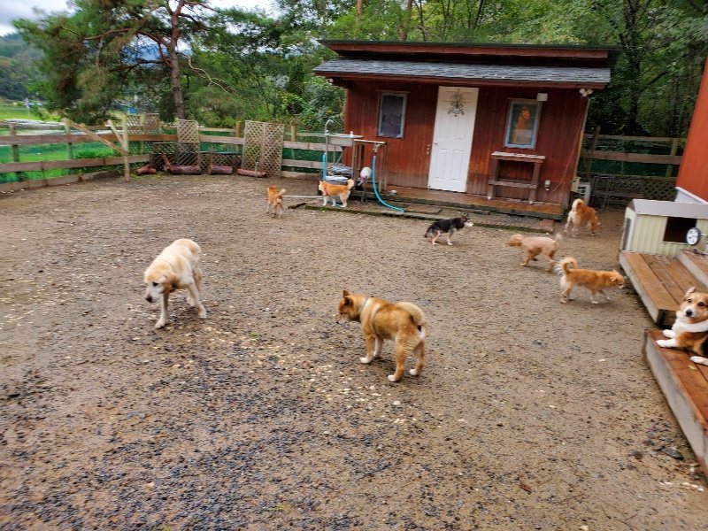 f:id:roukenhome-ann:20191020134952j:plain