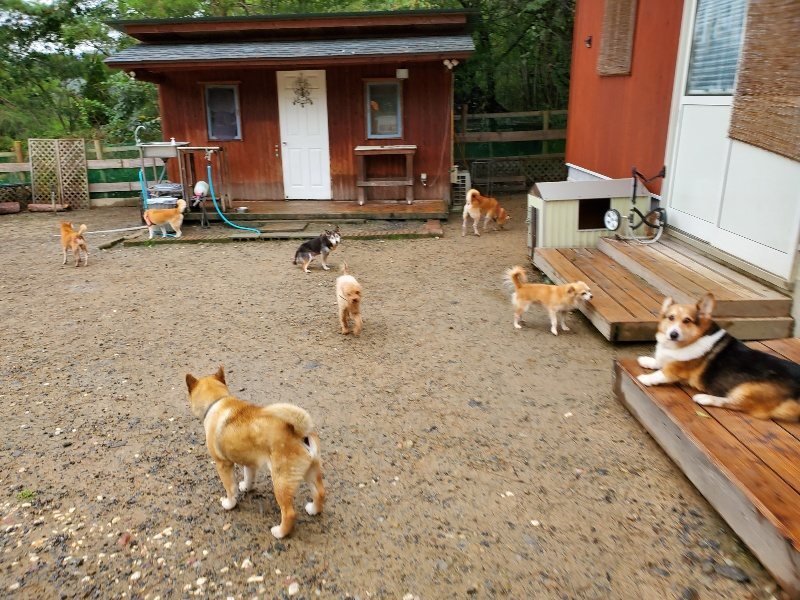 f:id:roukenhome-ann:20191020134958j:plain