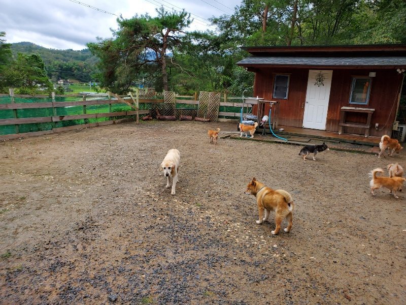 f:id:roukenhome-ann:20191020135005j:plain