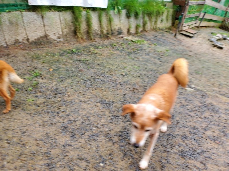 f:id:roukenhome-ann:20191020135047j:plain