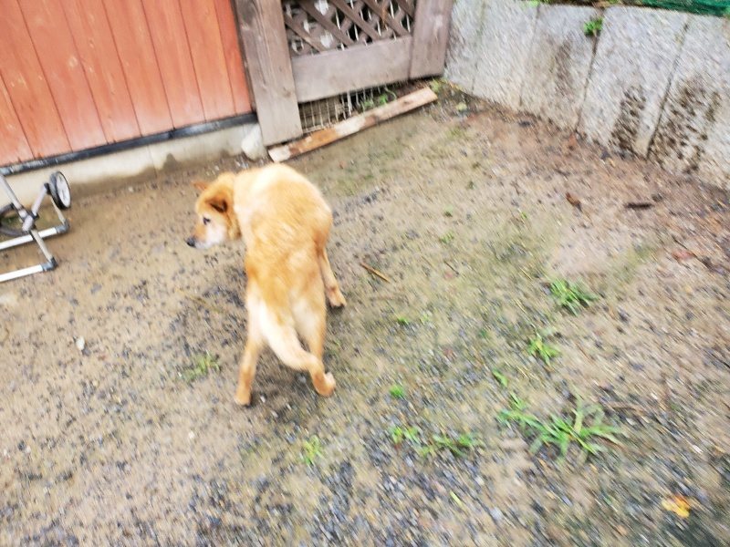 f:id:roukenhome-ann:20191020135116j:plain