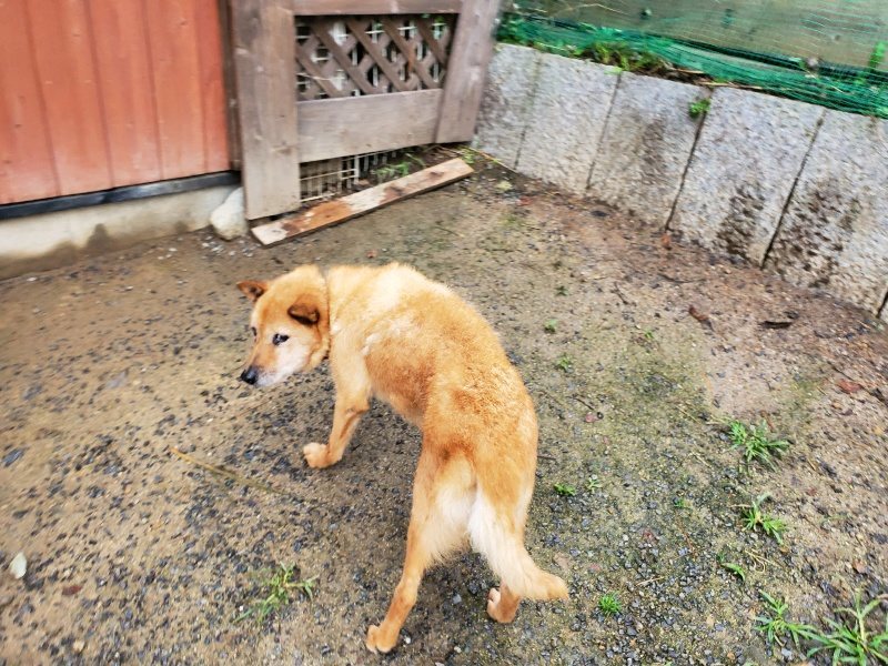 f:id:roukenhome-ann:20191020135131j:plain