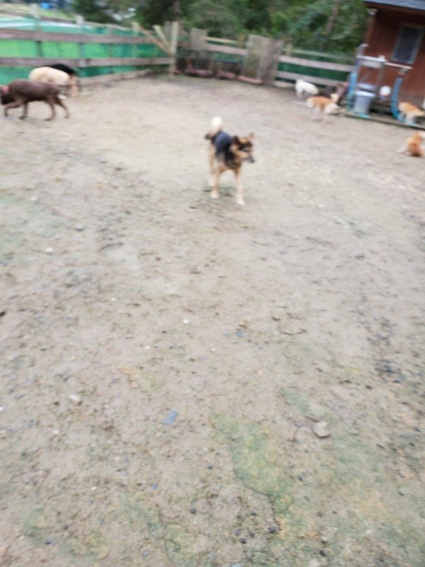 f:id:roukenhome-ann:20191020135137j:plain