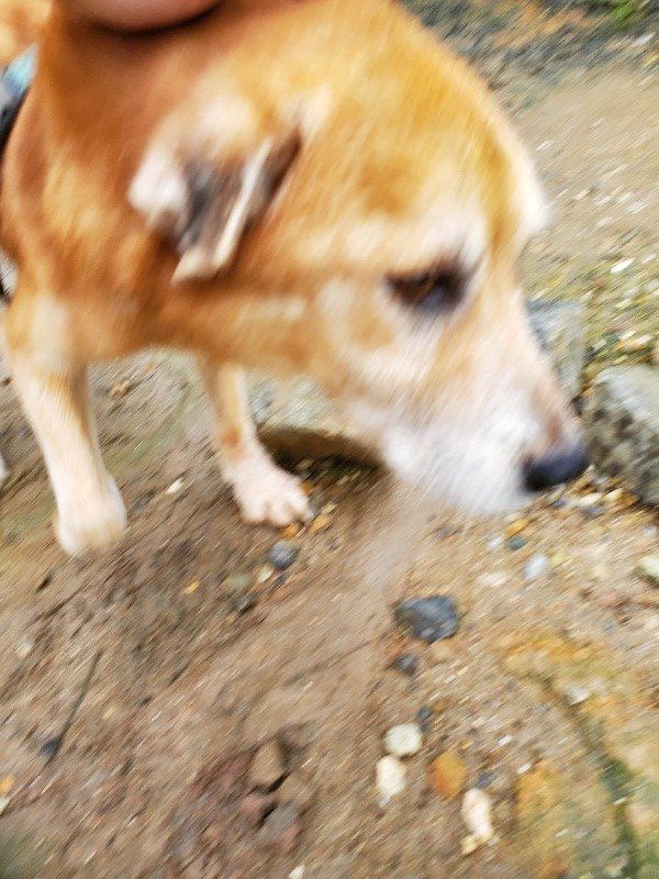 f:id:roukenhome-ann:20191020135201j:plain