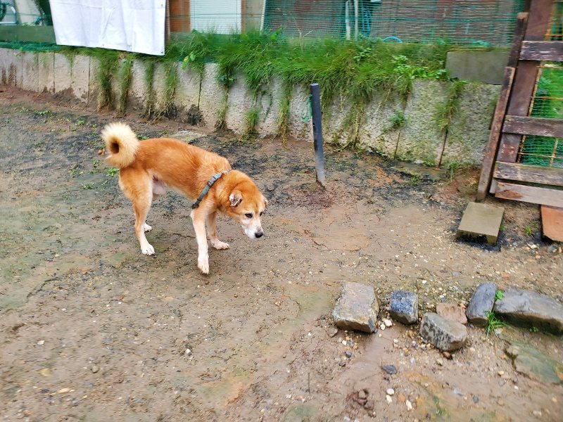 f:id:roukenhome-ann:20191020135212j:plain