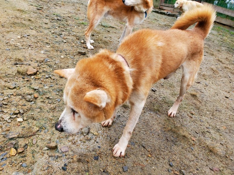 f:id:roukenhome-ann:20191020135427j:plain