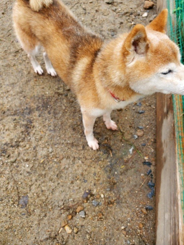 f:id:roukenhome-ann:20191020135549j:plain