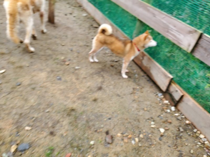 f:id:roukenhome-ann:20191020135618j:plain
