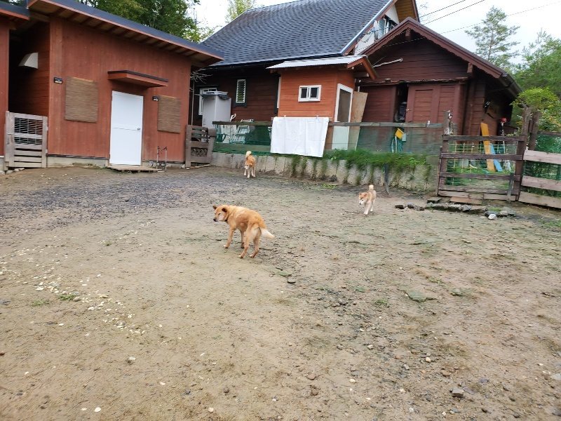 f:id:roukenhome-ann:20191020135749j:plain