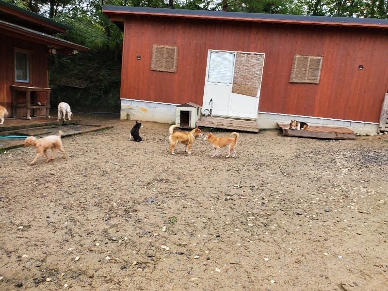 f:id:roukenhome-ann:20191020135809j:plain