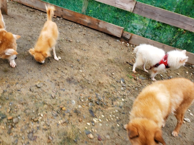 f:id:roukenhome-ann:20191020165237j:plain