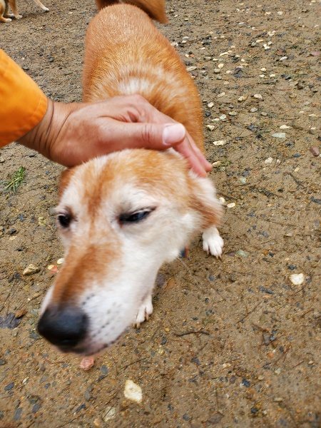 f:id:roukenhome-ann:20191020165311j:plain