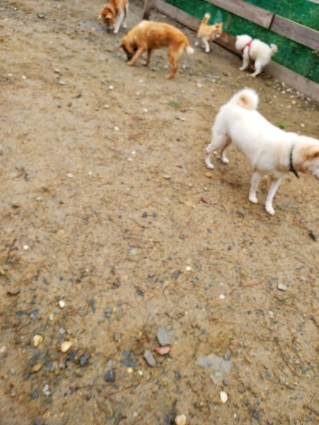f:id:roukenhome-ann:20191020165315j:plain