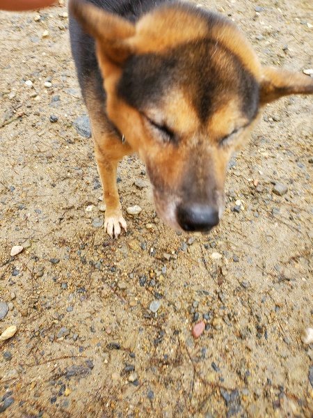 f:id:roukenhome-ann:20191020165324j:plain