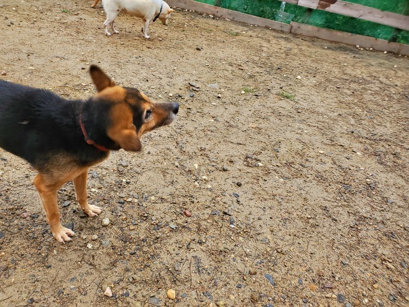 f:id:roukenhome-ann:20191020165351j:plain