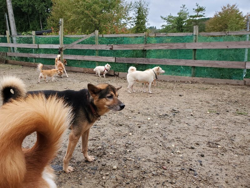 f:id:roukenhome-ann:20191020165400j:plain